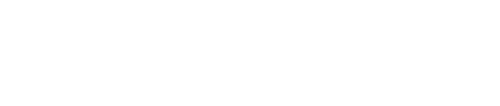 elavibe logo